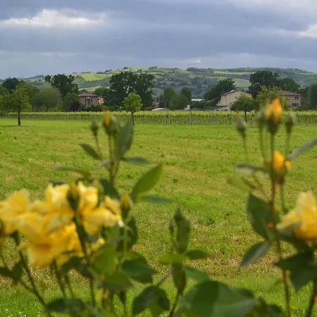 Casalgrande Salvaterra