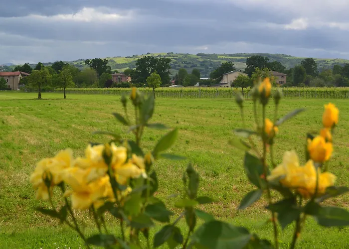 Casalgrande 살베테라